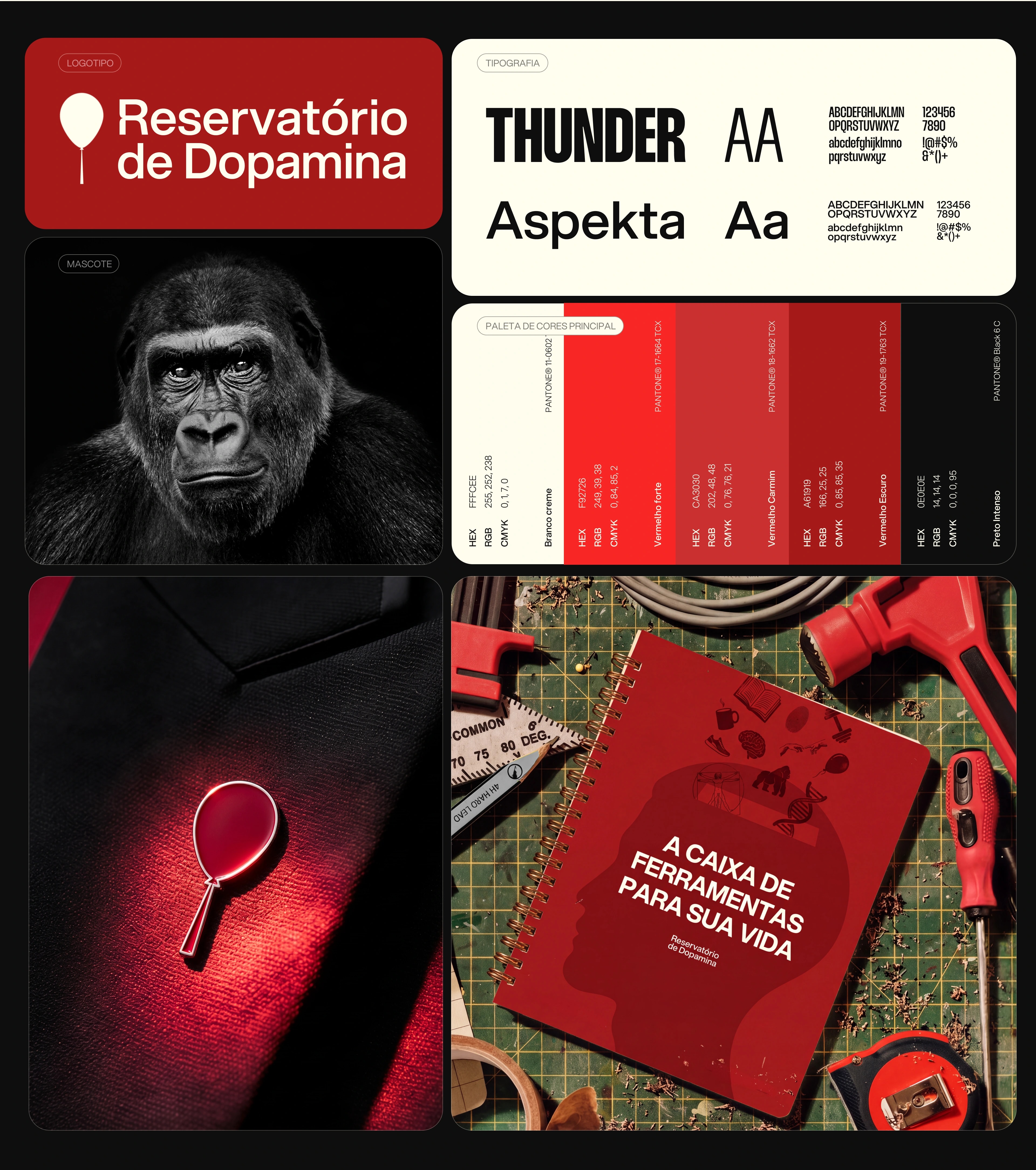 Logotipo, mascote, tipografia, paleta, pin e caderno do RD